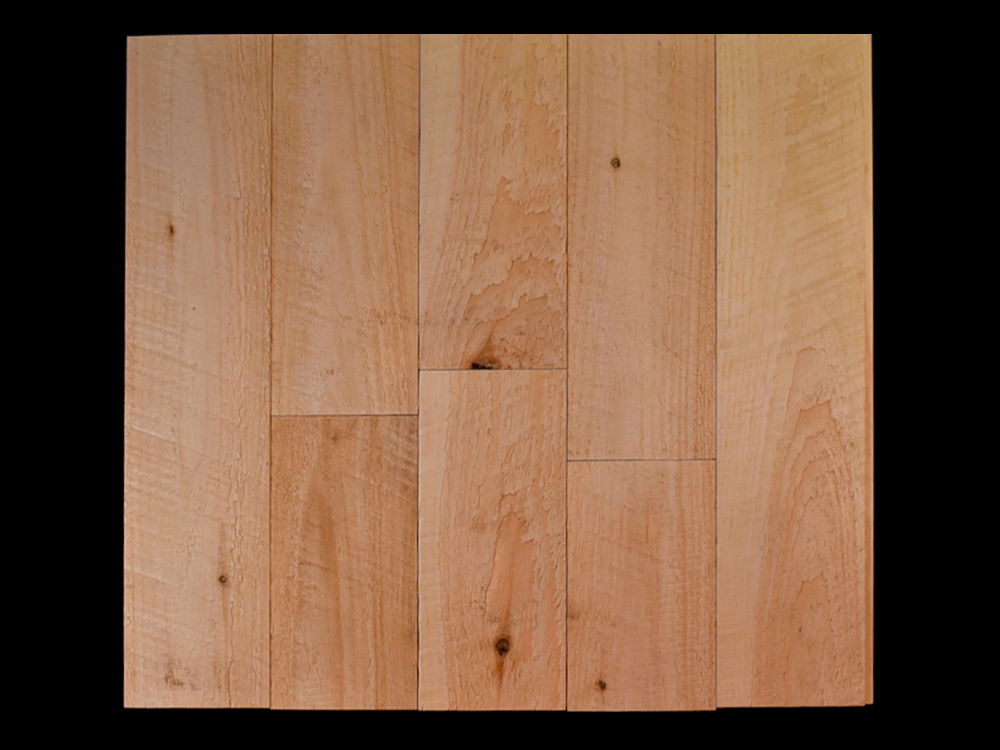 Rough Paneling