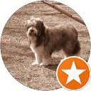 Anita Einolf profile picture